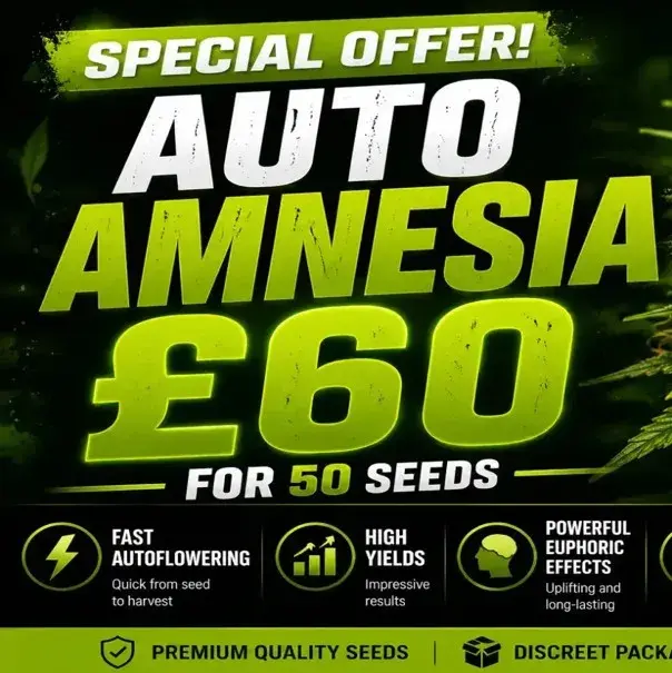 Auto Amnesia 50 Seed Pack | Discount Cannabis Seeds.
