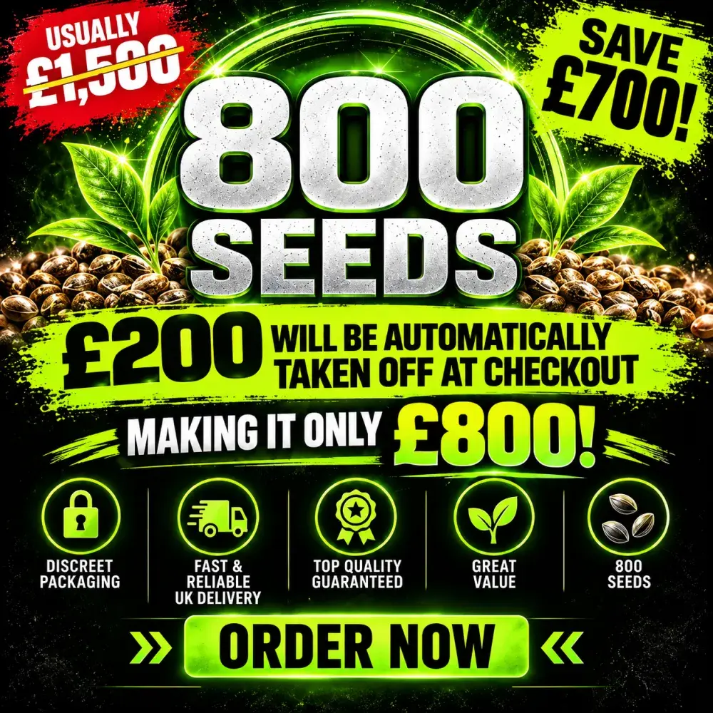XCLUSIVE CANNABIS SEEDS BULK DEAL 800 SEEDS FOR £800