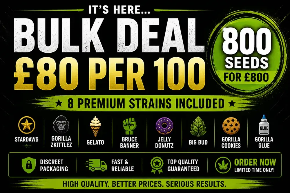 EXCLUSIVE CANNABIS SEEDS BULK DEAL £80 PER 100 PACKS FOR £800.