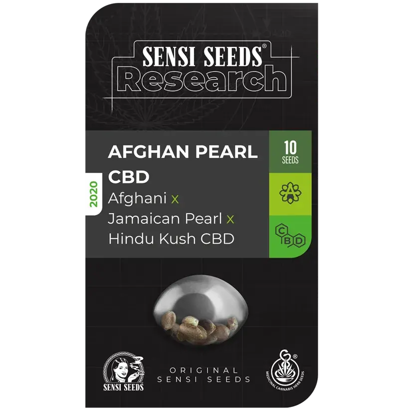 Afghan Pearl CBD Auto Feminised Cannabis Seeds - Sensi Seeds Research