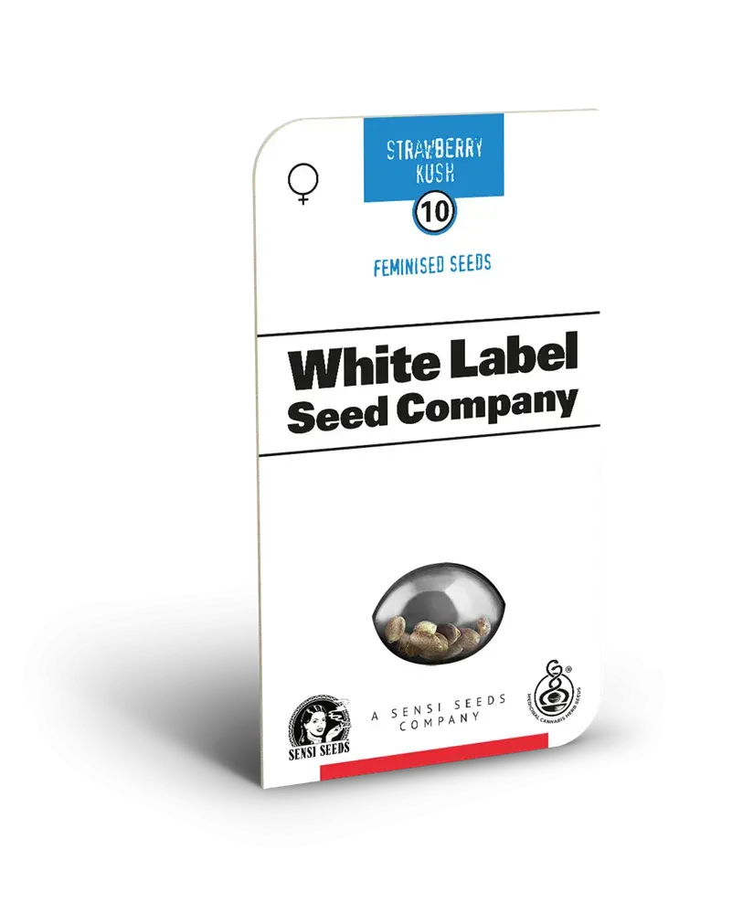 American Line Strawberry Kush Feminised Cannabis Seeds | White Label Seed Company