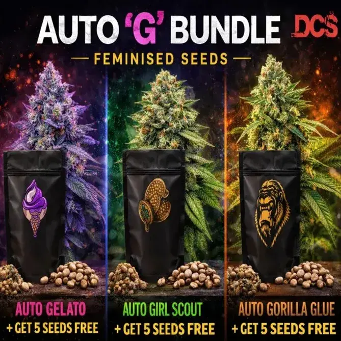 Auto 'G' Bundle Feminised Seeds - Discount Cannabis Seeds