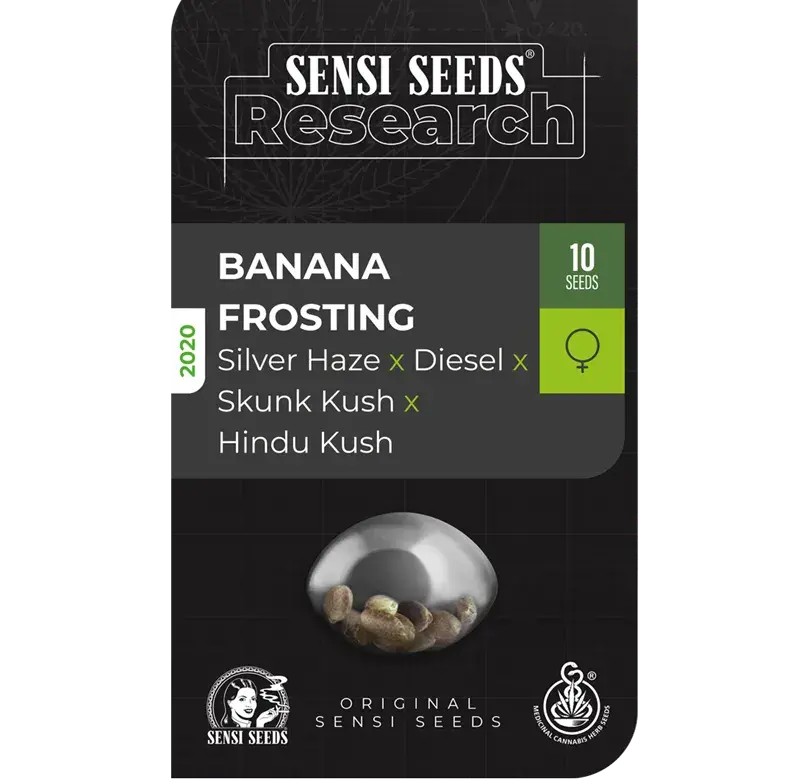 Banana Frosting Feminised Cannabis Seeds - Sensi Seeds Research
