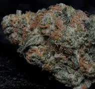 Big Head Confidential Feminised Cannabis Seeds | Big Head Seeds