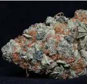 Cookie Dawg Feminised Cannabis Seeds | Big Head Seeds
