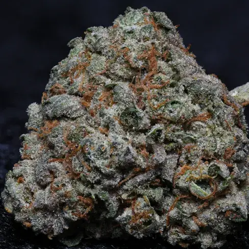 Fire OG Kush Feminised Cannabis Seeds | Big Head Seeds