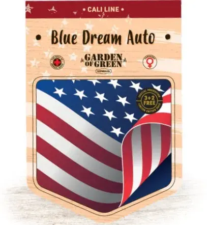 Blue Dream Auto Feminised Cannabis Seeds | Garden of Green