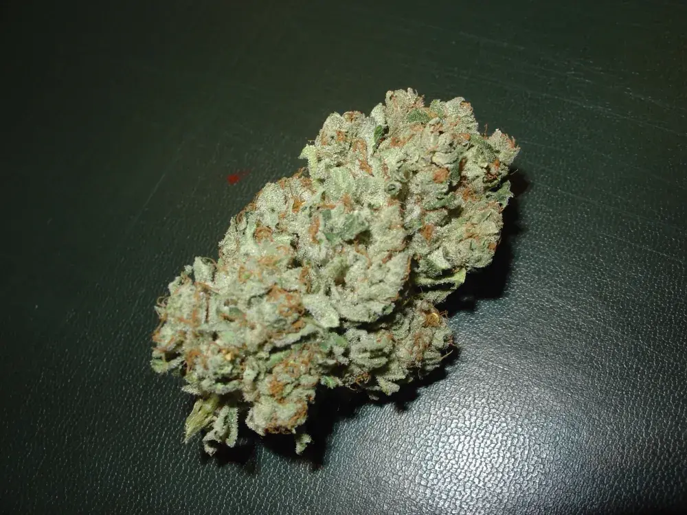 Blue Haze Feminised Cannabis Seeds