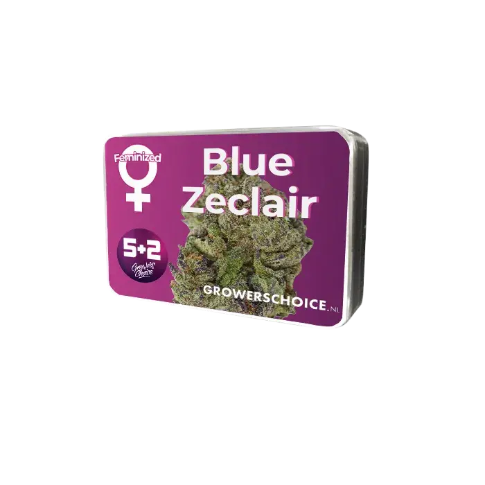 Blue Zeclair Feminised Cannabis Seeds - Growers Choice.