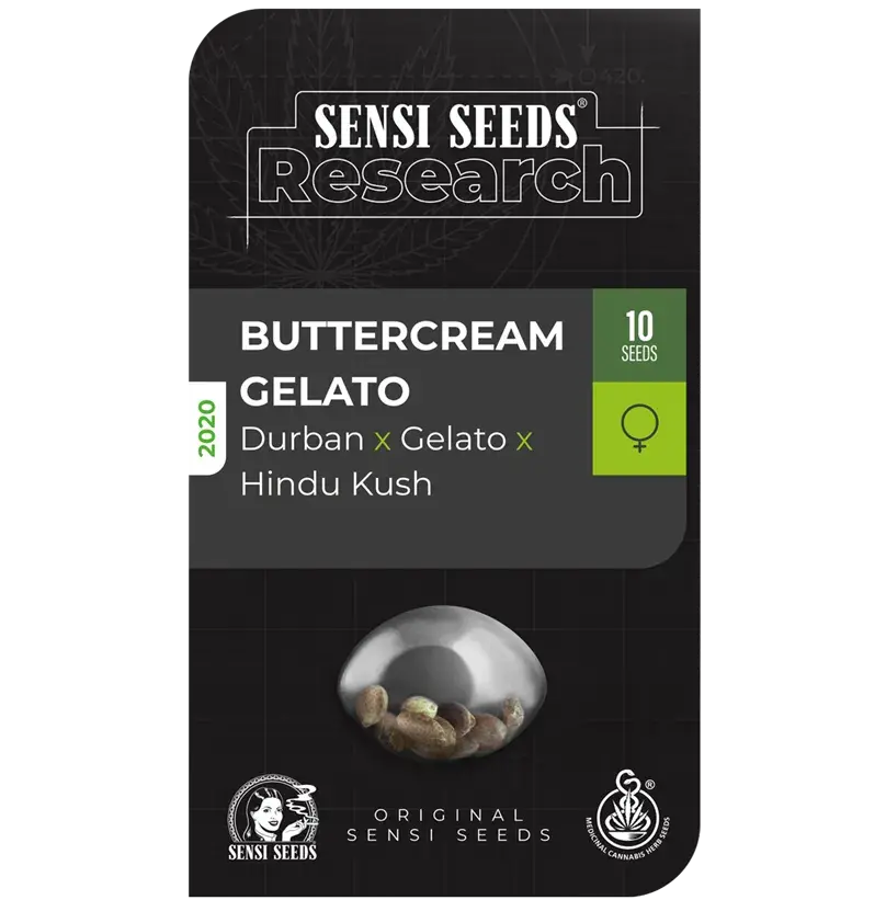 Buttercream Gelato Feminised Cannabis Seeds - Sensi Seeds Research