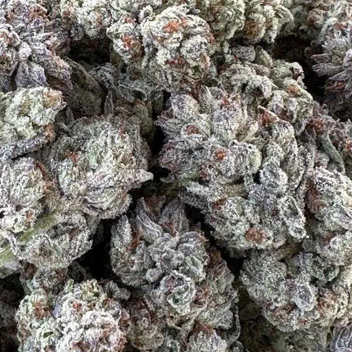 Double Fire Headband Feminised Cannabis Seeds | Humboldt Seeds Organisation