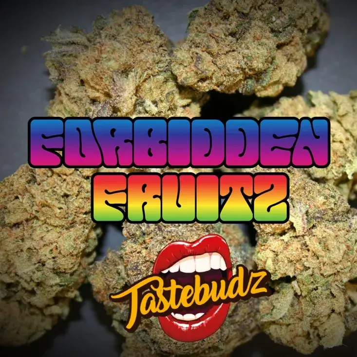 Forbidden Fruitz Auto - Tastebudz