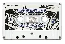 Bruce Lemon Diesel Feminised Cannabis Seeds - Super Sativa Seed Club