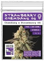 Strawberry Chemdawg OG Feminised Cannabis Seeds - Super Sativa Seed Club