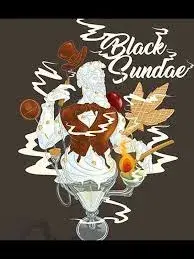 Auto Black Sundae Feminised Cannabis Seeds - Penthouse Cannabis Co.