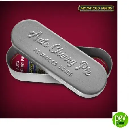Auto Cherry Pie Feminised Cannabis Seeds | Advanced Seeds 