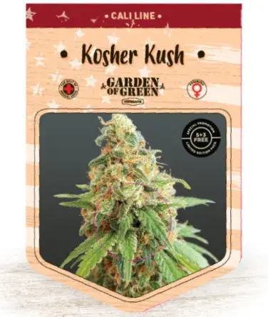 Kosher Kush Feminised Cannabis Seeds | Garden of Green