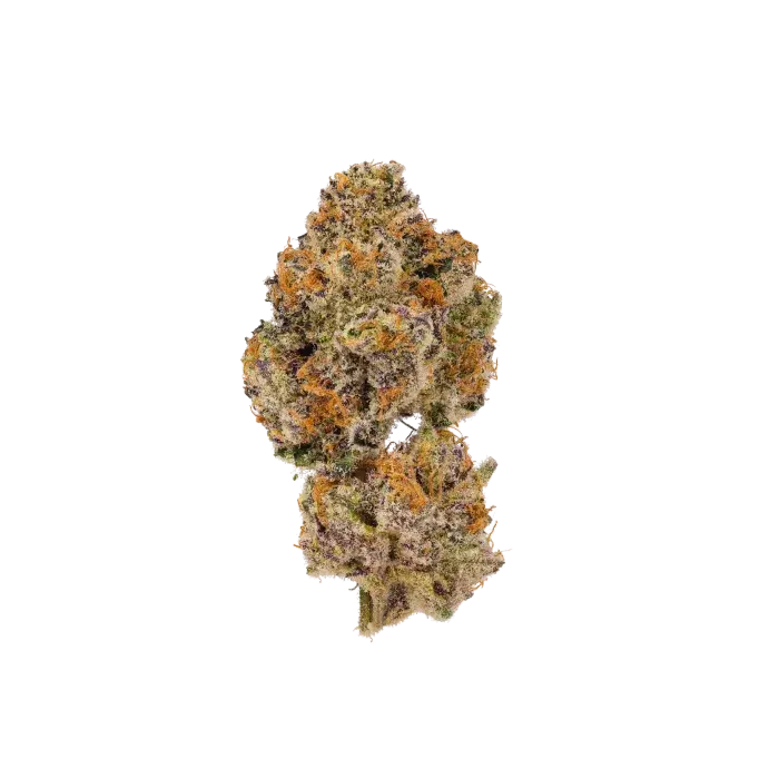 Lemon Cherry Mochi Feminised Cannabis Seeds - Growers Choice.