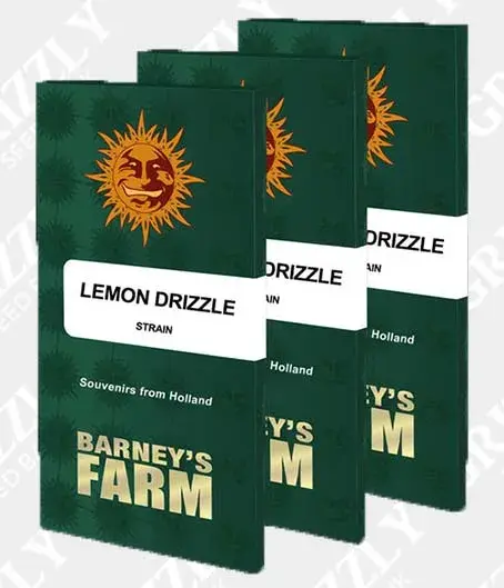 Lemon Drizzle Feminised Cannabis Seeds | Barney's Farm 