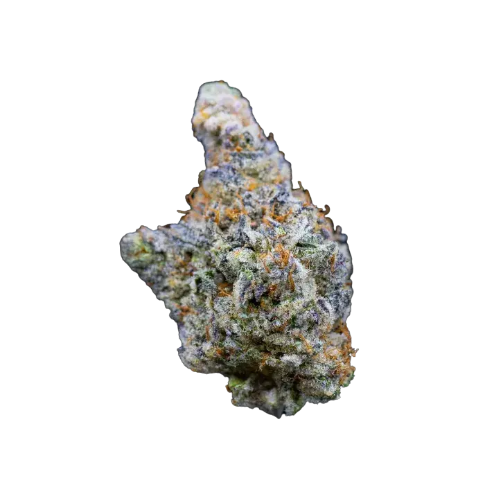 Limited Edition Mimosa Gusher Feminised Cannabis Seeds - Growers Choice