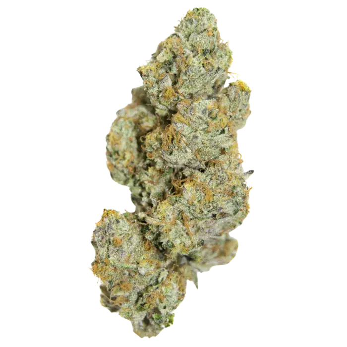 Limited Edition Cherry 7up Auto Feminised Cannabis Seeds - Growers Choice