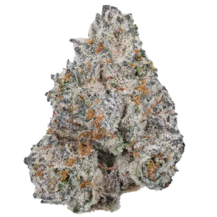 Limited Edition White Truffle Auto Feminised Cannabis Seeds - Growers Choice