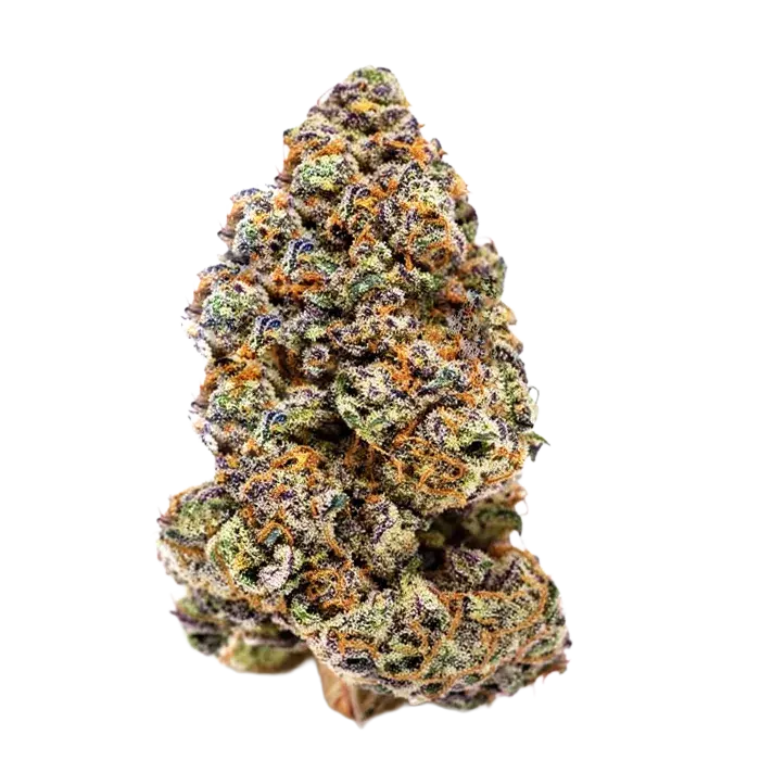 Milkshake Nerdz Feminised Cannabis Seeds - Growers Choice.