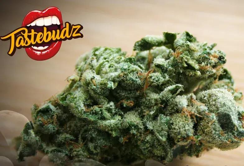 Peanut Butter Cookies Auto Feminised - Tastebudz