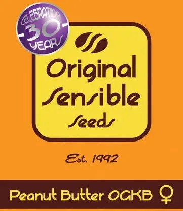 Peanut Butter OGKB Feminised Cannabis Seeds | Original Sensible Seeds