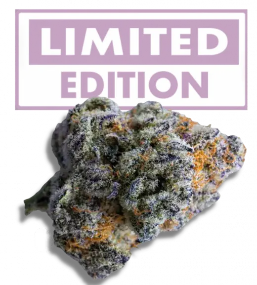 Platinum Mimosa Auto Feminised Cannabis Seeds - Growers Choice