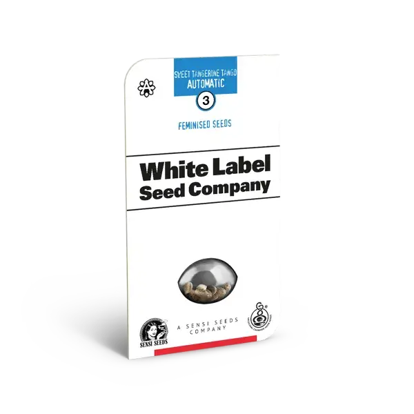 American Line Sweet Tangerine Tango Auto Feminised Cannabis Seeds | White Label Seed Company