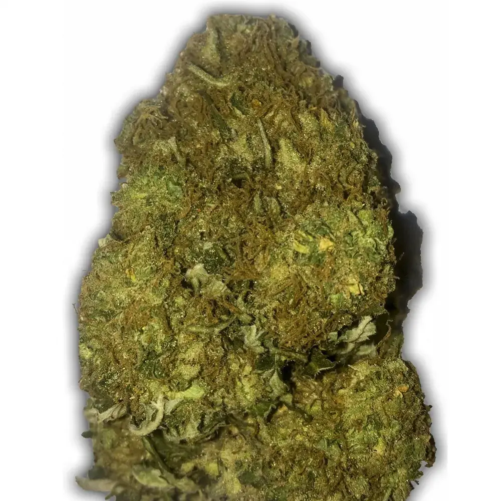 Skunky Monkey Auto Feminised Cannabis Seeds | Heavyweight Seeds