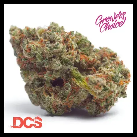 Tropicana Wedding Cake Auto Feminised Cannabis Seeds - Growers Choice