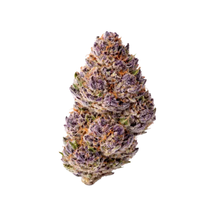  Unicorn Wagyu Auto Feminised Cannabis Seeds - Growers Choice.