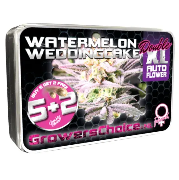 Watermelon Wedding Cake Double XL Auto Feminised Cannabis Seeds - Growers Choice