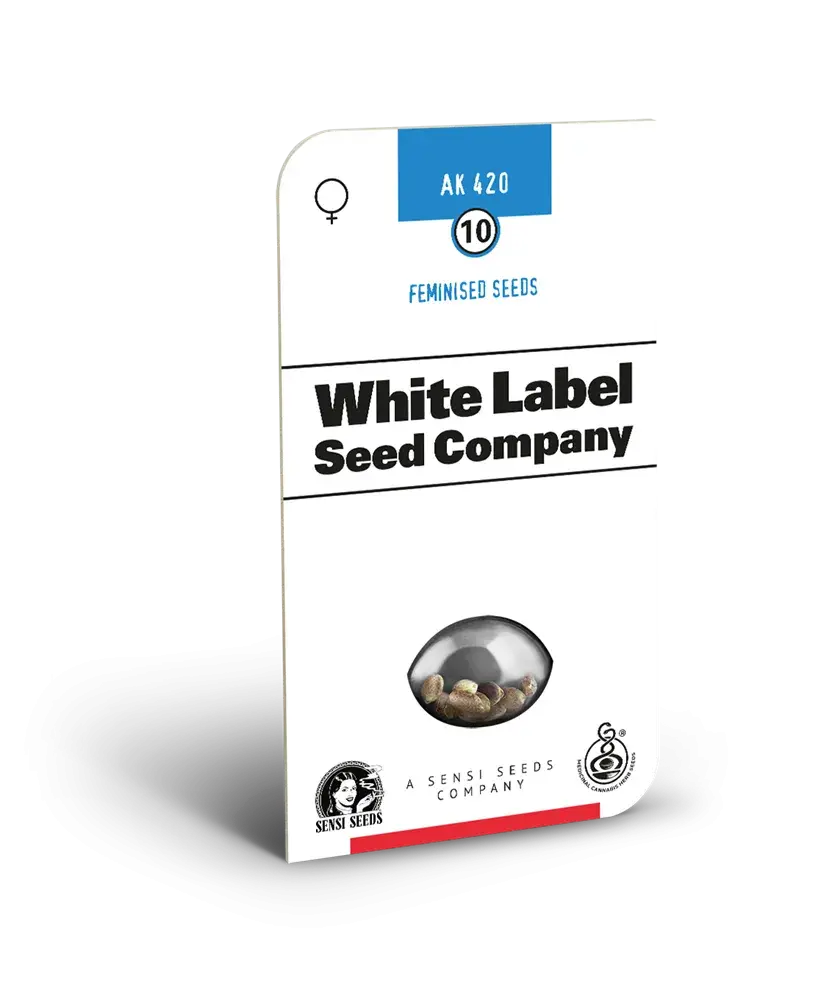 AK420 Feminised Cannabis Seeds | White Label Seed Company