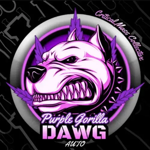 Auto Purple Gorilla Dawg Feminised Cannabis Seeds | Critical Mass Collective Seeds