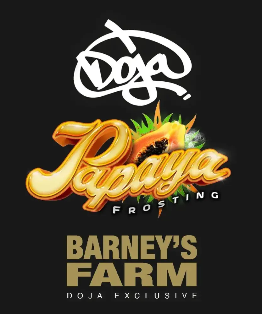 Papaya Frosting Feminised Cannabis Seeds | Barneys Farm.