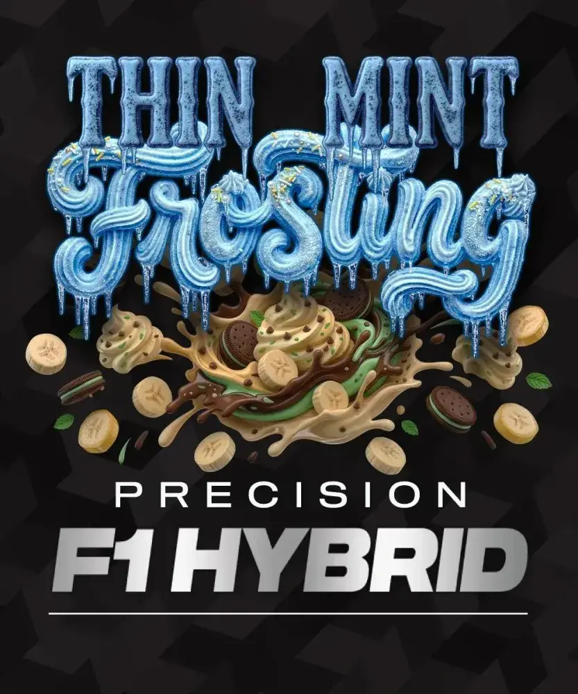 Thin Mint Frosting F1 Feminised Cannabis Seeds | Barneys Farm.