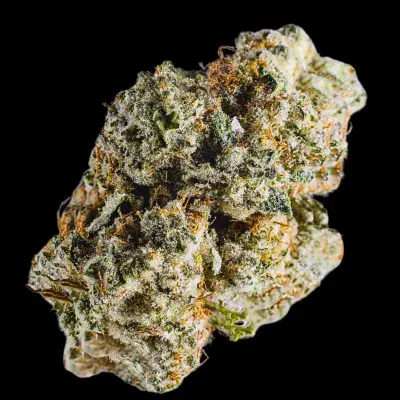 Cherry Burger Feminised Cannabis Seeds- Terp Farmz.