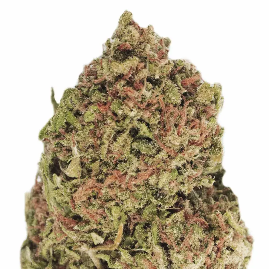 Dream Machine Feminised Cannabis Seeds | Heavyweight Seeds