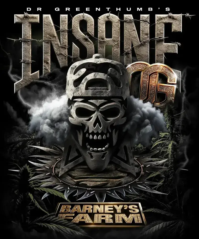 Insane OG Feminised Cannabis Seeds | Barney's Farm.