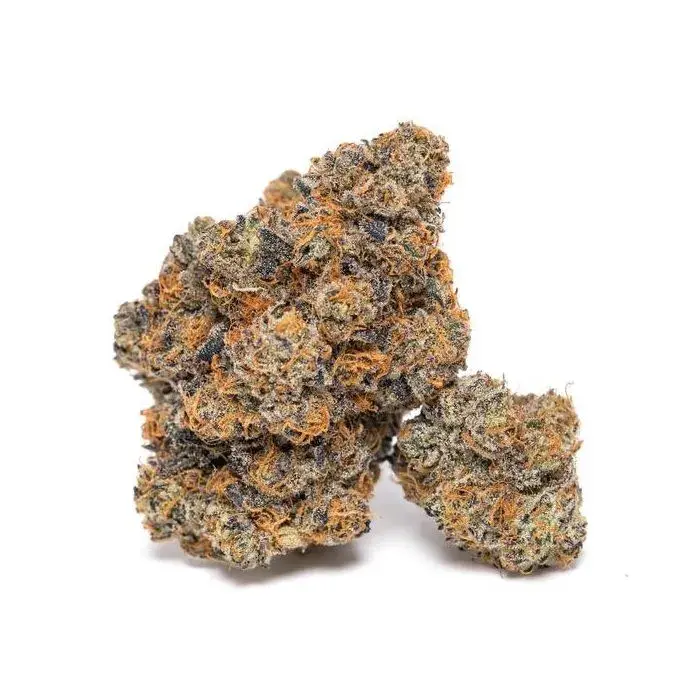 King Louis Garcia Feminised Cannabis Seeds - Growers Choice