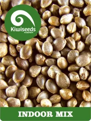 Indoor Mix Feminised Cannabis Seeds
