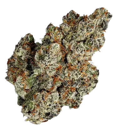 Jelly Babiez Feminised Cannabis Seeds- Terp Farmz.