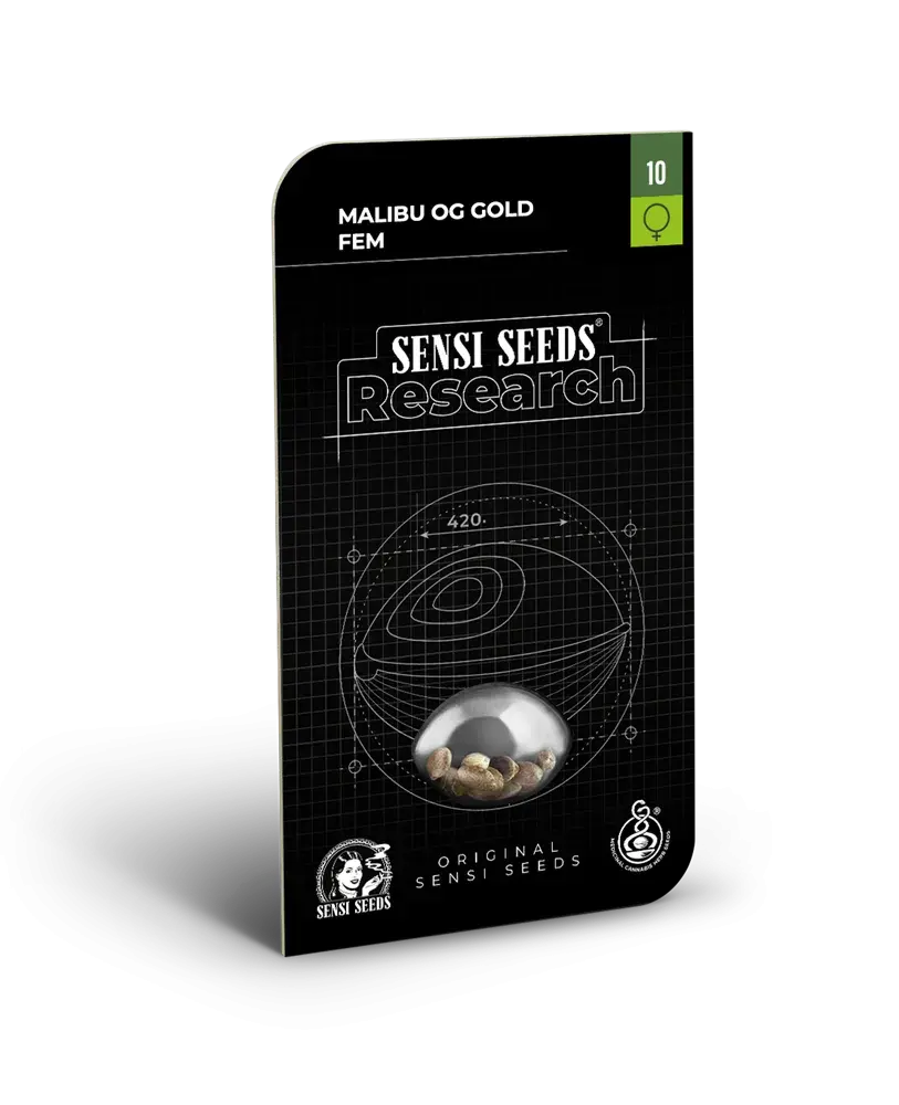 Malibu OG Gold Feminised Cannabis Seeds - Sensi Seeds Research