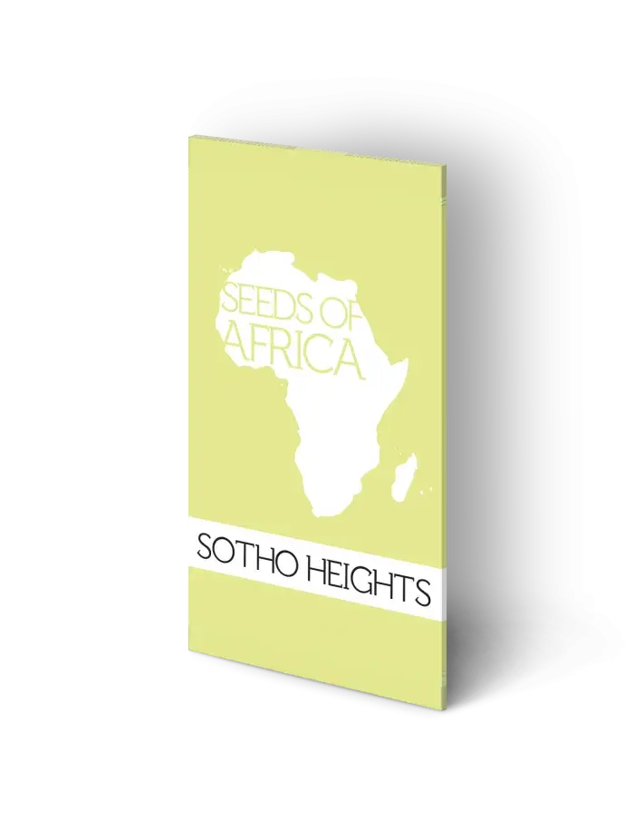 Sotho Heights Regular Cannabis Seeds | Seeds of Africa