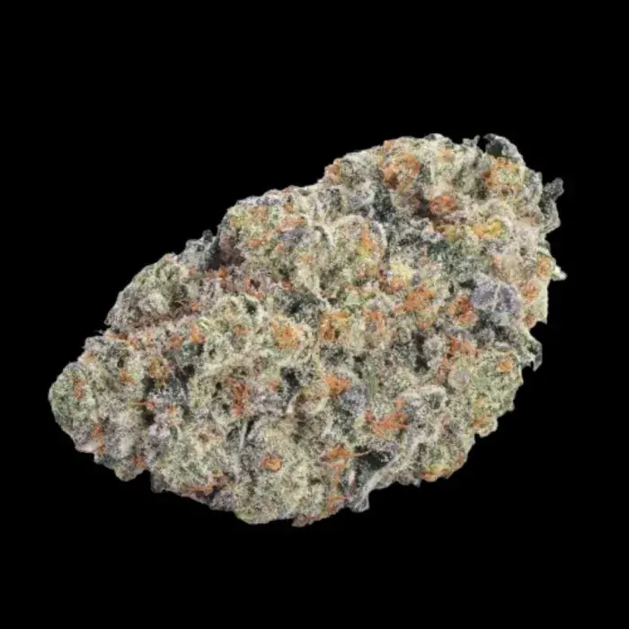 Double Donny Burger Feminised Cannabis Seeds - Growers Choice.