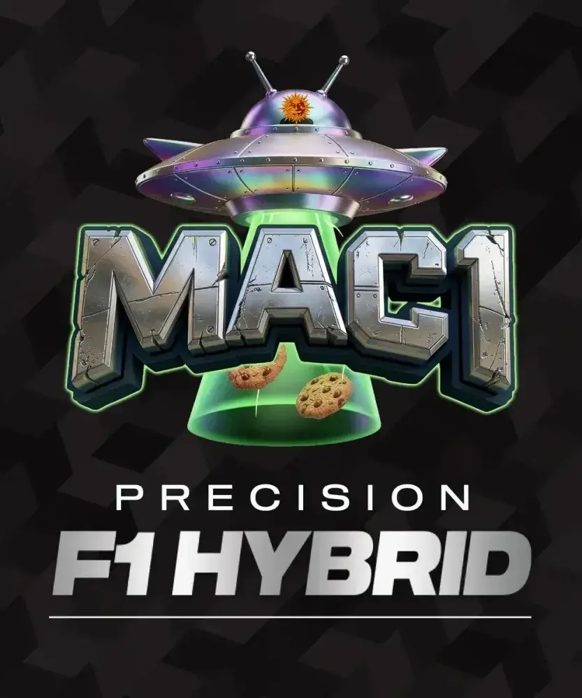 MAC1 F1 Feminised Cannabis Seeds | Barneys Farm.