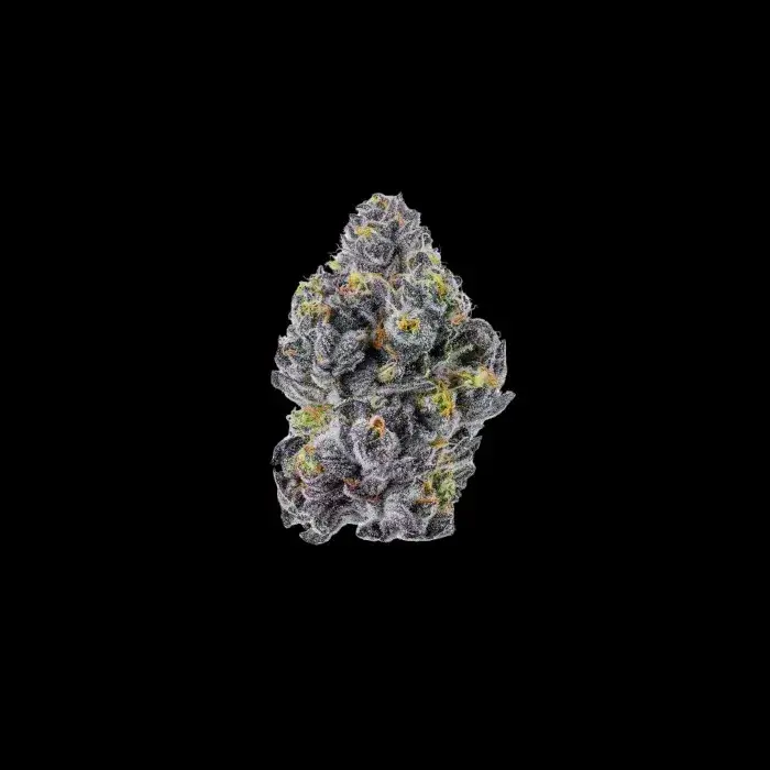 Sticky Wasabi Triploid Feminised Cannabis Seeds - Growers ChoiceSticky Wasabi Triploid Feminised Cannabis Seeds - Growers Choice